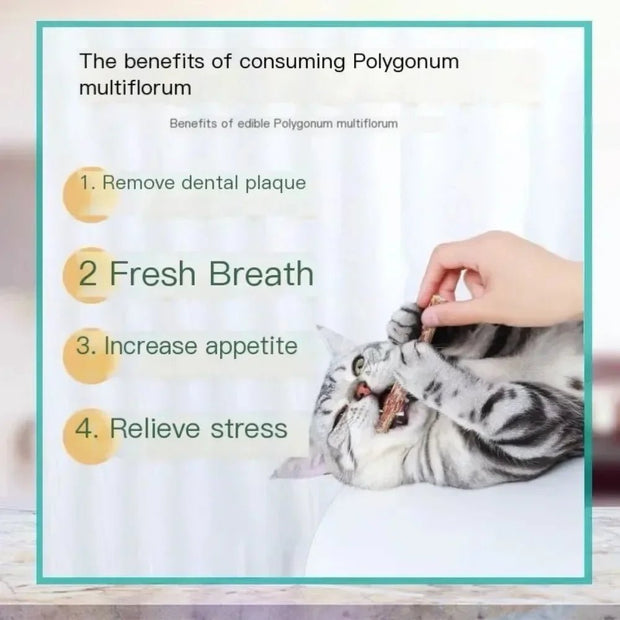 6PCs Natural Cat Sticks Mint Scratching Biting Excitement Sticks Silver Vine Cat Teeth Cleaning and Treatment Cat Toys