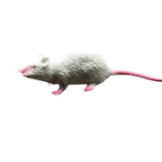 Fake Small Rat Lifelike Mouse Model Prop Scary Trick Prank Toy Horror Halloween Party Decor Practical Jokes Novelty Funny Toys