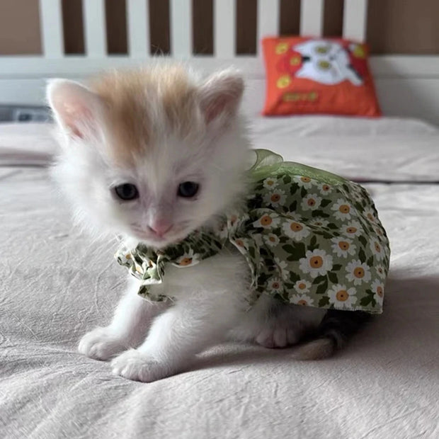 2025 Summer Cotton Sphynx Cat Suspender Skirt Love Flower Pet Princess Dresses for Cats Dog Dress Clothes