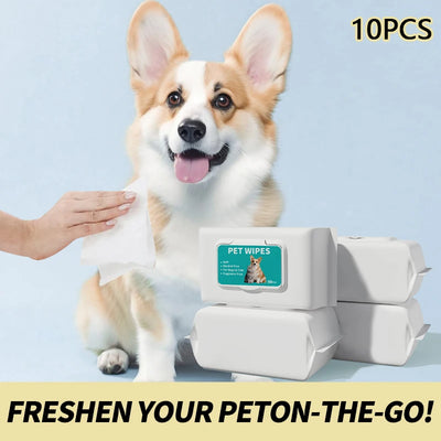 10PCS Pet wipes Disposable Pure water formula Pet care Dog and cat health cleaning Deodorizing wipes Single-use