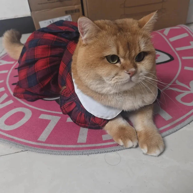 Cat Clothes Gingham Summer Princess Dress For Persian Cat Siamese Kitten Platinum Gradual Layer Skirt Dress Cute Cat Outfit