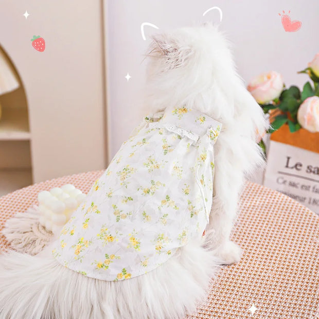 HOOPET Cat Clothes Anti-Shedding Breathable Pet Kitten Kitten English Short Ragdoll Cat Pajamas Cat Cat Summer Thin Section