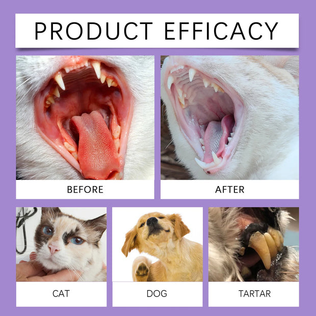 Pet Oral Cleaning Spray 50ml Dogs Cats Teeth Clean Deodorant Prevent Calculus Remove Kitten Bad Breath Mouth Fresh Pet Supplies