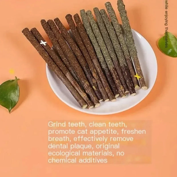6PCs Natural Cat Sticks Mint Scratching Biting Excitement Sticks Silver Vine Cat Teeth Cleaning and Treatment Cat Toys