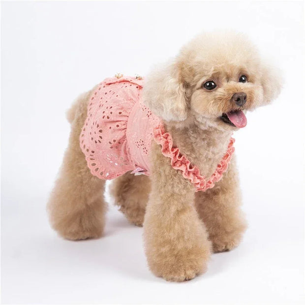 Cat Skirt Dog Dress Summer Pet Clothes Puppy Clothing Dresses Chihuahua Yorkshire Terrier Yorkies Pomeranian Poodle Pet Costumes