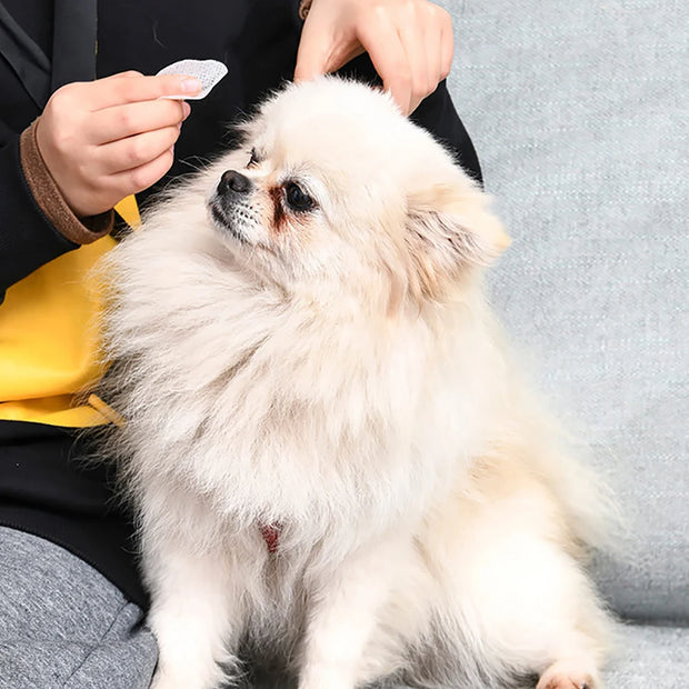 150pcs Pet Eye Wipes Dogs And Cats Eye Cleaning Wipes Pets Grooming Supplies Gentle Dog Cat Eye Tear Stain Remover Cleaner Wipes