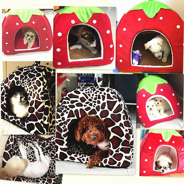 Strawberry Pet House – Cozy Bed & Tent for Small Dogs and Cats