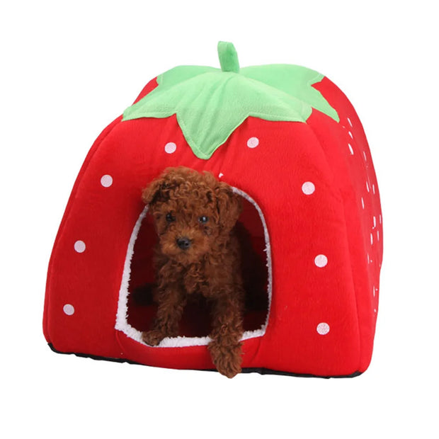 Strawberry Pet House – Cozy Bed & Tent for Small Dogs and Cats