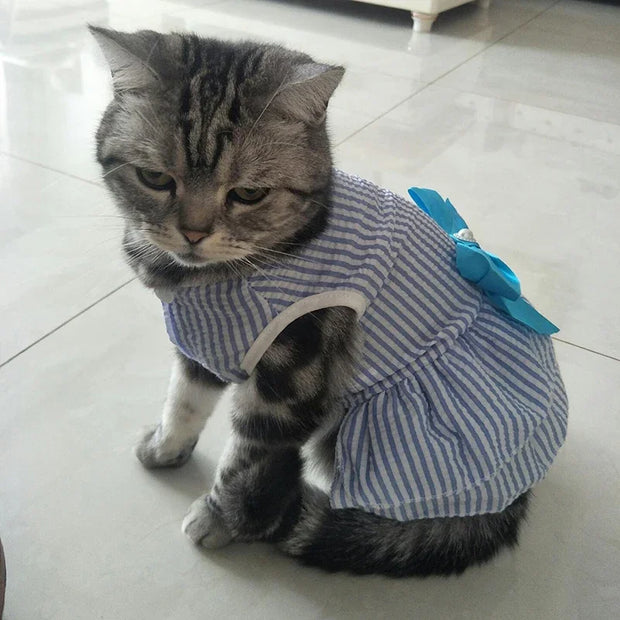Summer Pet Cat Puppy Princess Dress Pet Clothes Striped Plaid Dresses with Bow Cats Kitten Rabbit Sphynx Clothing Pet Supplies