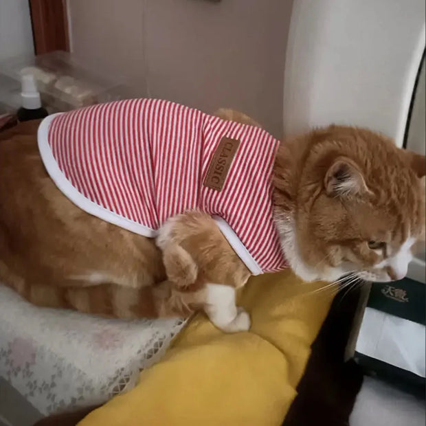 Summer Cotton Cat Puppy Vest Classic Stripes Pet Sleeveless T-shirt for Small Dogs Cats Kitten Clothing Outfit ropa para gatos