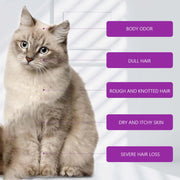 Pet Shampoo and Conditioner 2 in 1 Lavender Dry Sensitive Skin Relief Non Irritating Moisturizing Shampoo for Dogs Cats Puppies