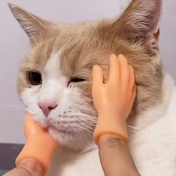 Cat fun toy Small gloves Cat finger Sleeve mini hand model silicone small gloves Cat massage tools Pet cat toy Halloween gift