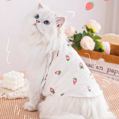 HOOPET Cat Clothes Anti-Shedding Breathable Pet Kitten Kitten English Short Ragdoll Cat Pajamas Cat Cat Summer Thin Section