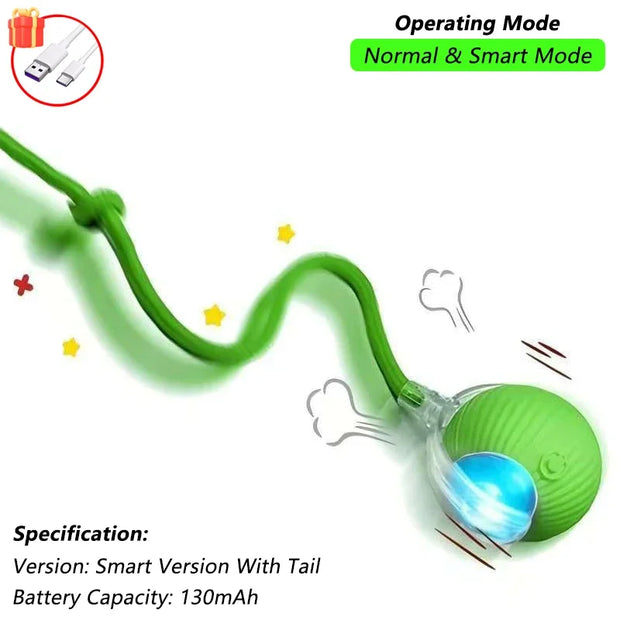 Whisker Wizard - Interactive Smart Cat Toy Ball
