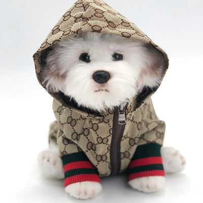 Autumn  Winter Pet Jacket Kitten Clothing Puppy Coat Bulldog corgi Shiba Dog Fashion Windbreaker Designer Luxury Dog Clothes