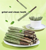 6PCs Natural Cat Sticks Mint Scratching Biting Excitement Sticks Silver Vine Cat Teeth Cleaning and Treatment Cat Toys