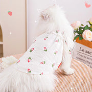 HOOPET Cat Clothes Anti-Shedding Breathable Pet Kitten Kitten English Short Ragdoll Cat Pajamas Cat Cat Summer Thin Section