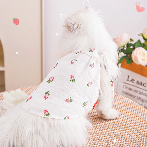 HOOPET Cat Clothes Anti-Shedding Breathable Pet Kitten Kitten English Short Ragdoll Cat Pajamas Cat Cat Summer Thin Section