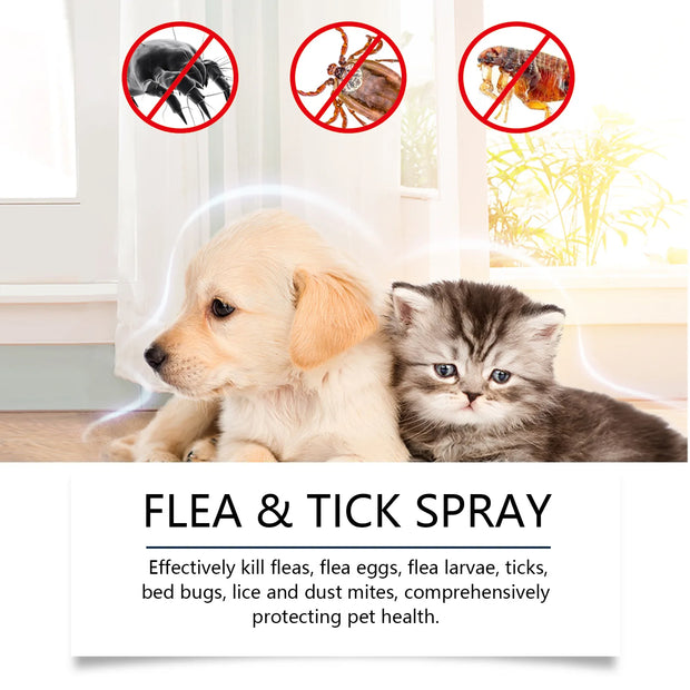 Pet Skin Spray is Suitable 100ml for Dogs and Cats.  Natural Soothing Spray is Used to Relieve Itchy Skin, Clean and Soften Hair