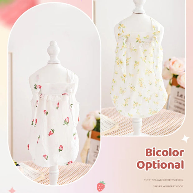 HOOPET Cat Clothes Anti-Shedding Breathable Pet Kitten Kitten English Short Ragdoll Cat Pajamas Cat Cat Summer Thin Section