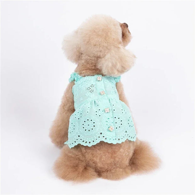 Cat Skirt Dog Dress Summer Pet Clothes Puppy Clothing Dresses Chihuahua Yorkshire Terrier Yorkies Pomeranian Poodle Pet Costumes