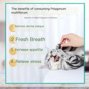 6PCs Natural Cat Sticks Mint Scratching Biting Excitement Sticks Silver Vine Cat Teeth Cleaning and Treatment Cat Toys