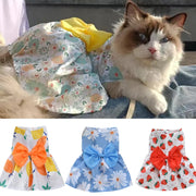 Summer Thin Sphynx Cat Skirt Dress Cute Print Pet Clothes for Cats Gotas Garfield Katten Kleding Suit Vestidos mascota sukienki