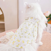 HOOPET Cat Clothes Anti-Shedding Breathable Pet Kitten Kitten English Short Ragdoll Cat Pajamas Cat Cat Summer Thin Section