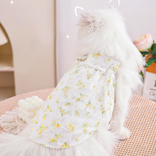 HOOPET Cat Clothes Anti-Shedding Breathable Pet Kitten Kitten English Short Ragdoll Cat Pajamas Cat Cat Summer Thin Section