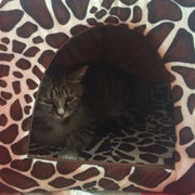 Strawberry Pet House – Cozy Bed & Tent for Small Dogs and Cats