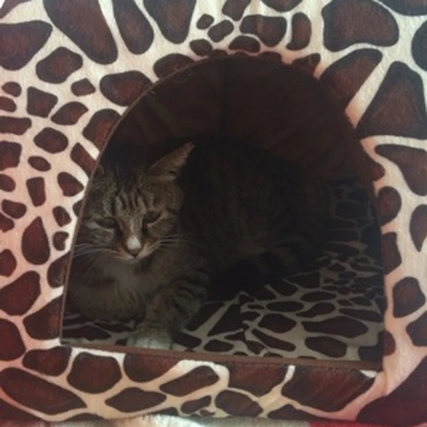 Strawberry Pet House – Cozy Bed & Tent for Small Dogs and Cats
