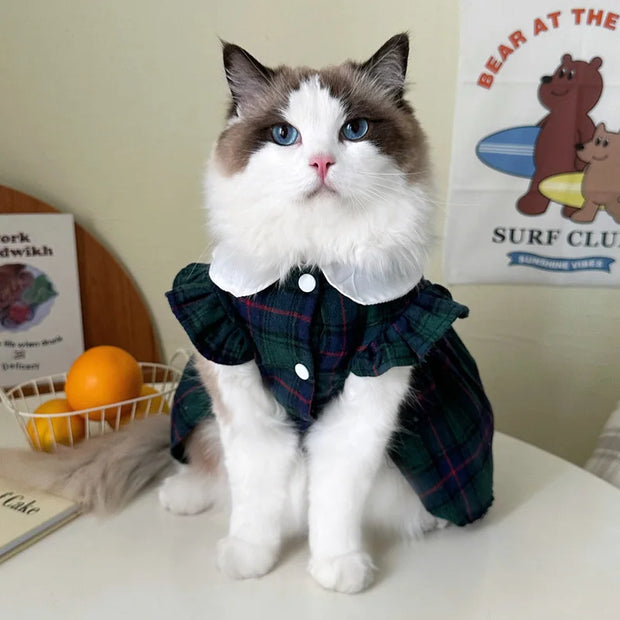 Cat Clothes Gingham Summer Princess Dress For Persian Cat Siamese Kitten Platinum Gradual Layer Skirt Dress Cute Cat Outfit