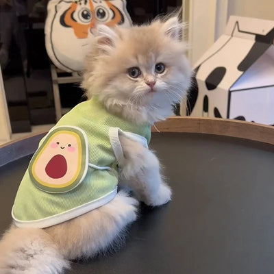 Cat Clothes Cute Summer Avocado Outfit Dress Up For Persian Cat Siamese Kitten Platinum Gradual Layer Cat Change Accessories