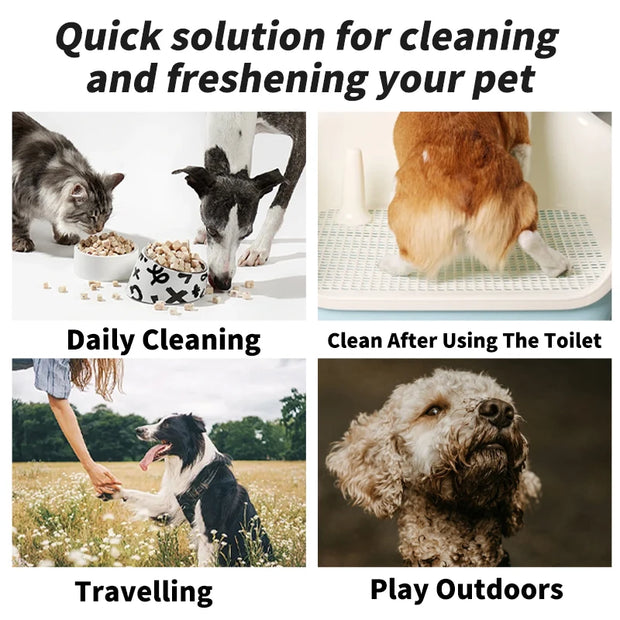 10PCS Pet wipes Disposable Pure water formula Pet care Dog and cat health cleaning Deodorizing wipes Single-use