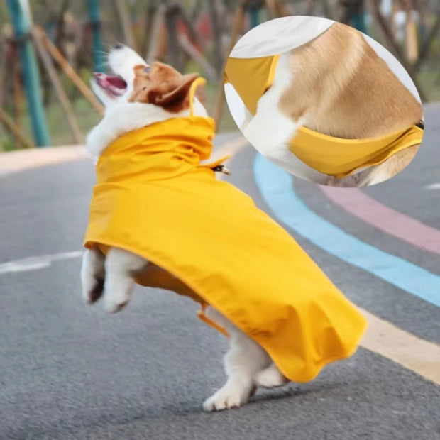 Teddy Cgi Golden Dog Clothes Egg Olk Man PU Waterproof Jacket Dog Raincoat Pet Supplies Waterproof Outdoor