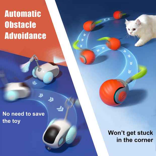 Whisker Wonders: 2-in-1 Smart Cat Toy Set