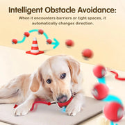 Whisker Wizard - Interactive Smart Cat Toy Ball