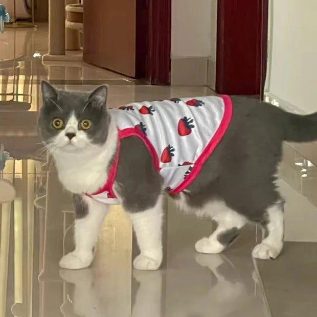 Cute Dog Vest Pet Clothes for Small Medium Dogs Teddy Bulldog Puppy Cat Suspenders Summer Spring Thin Dog Cat Shirts Pet Costume