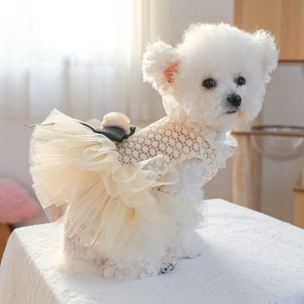 Luxury Girl Dog Kawaii Dress For Small Puppy Animal Pearl Collar Accessory Pet Chihuahua Yorkshire Apparel Clothing Cat Wedding