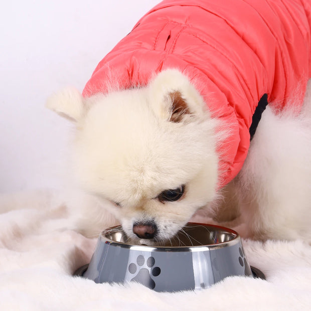 Stainless Steel Pet Food Bowl – Durable, Non-Slip Feeding Dish for Dogs & Cats