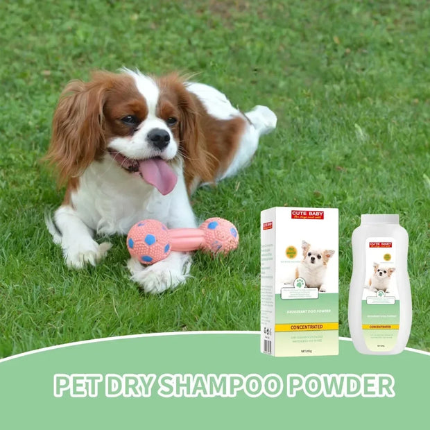 Pet wash free shower gel, cat shampoo, dry cleaning powder,dog dry cleaning supplies DryItchySkinRelief200G
