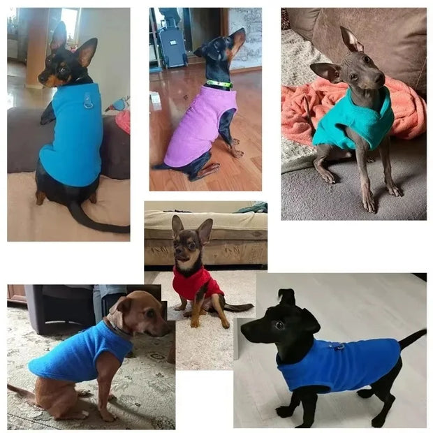 Winter Warm Fleece Dog Clothes Pet Jacket Vest Small Dog Puppy Cats Clothing French Bulldog Costumes Chihuahua Coat Pet Clothes