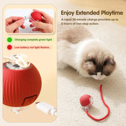 Whisker Wizard - Interactive Smart Cat Toy Ball
