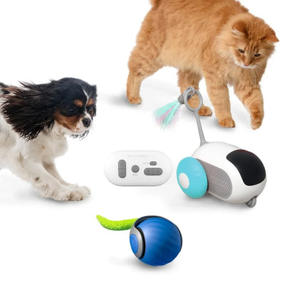 Whisker Wonders: 2-in-1 Smart Cat Toy Set