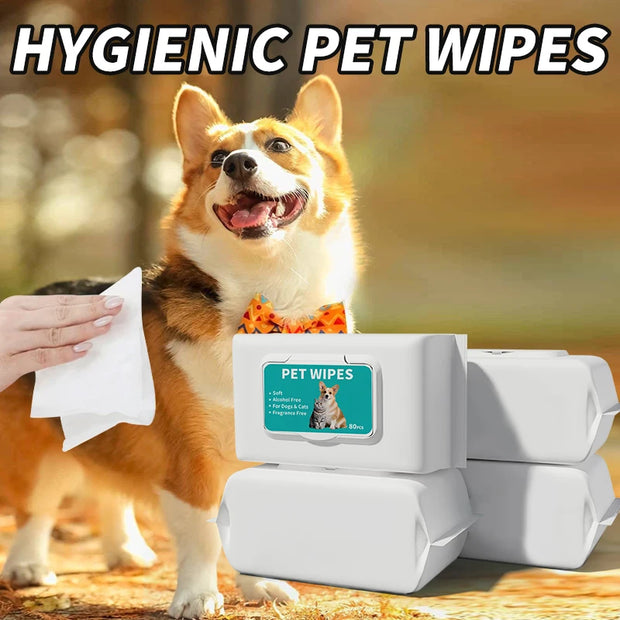 10PCS Pet wipes Disposable Pure water formula Pet care Dog and cat health cleaning Deodorizing wipes Single-use