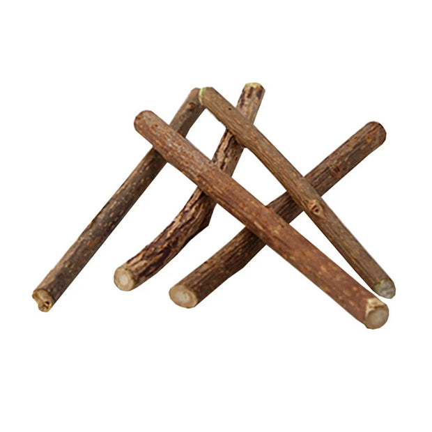 10pcs/lot Catnip Stick Pet Cat Molar Toys Natural Wood Polygonum Sticks Cleaning Teeth Relieve Boredom Snacks Chews Toys