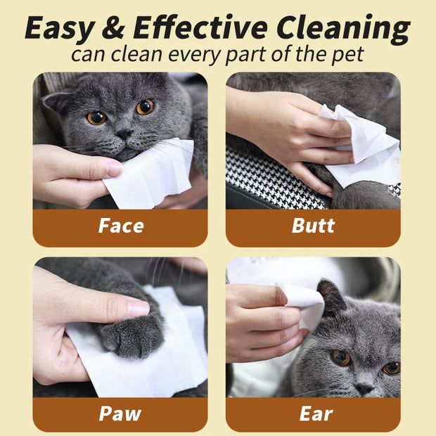 10PCS Pet wipes Disposable Pure water formula Pet care Dog and cat health cleaning Deodorizing wipes Single-use