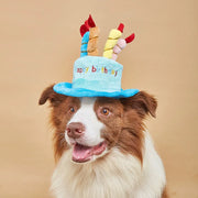 Pet Dog Hat for Birthday Party Adjustable Dog Hats Cats Dog Costumes Puppy Grooming Dress Up Hat Pet Supplies