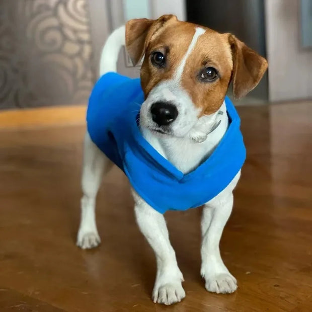 Winter Warm Fleece Dog Clothes Pet Jacket Vest Small Dog Puppy Cats Clothing French Bulldog Costumes Chihuahua Coat Pet Clothes