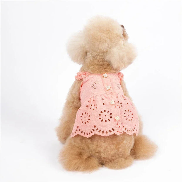 Cat Skirt Dog Dress Summer Pet Clothes Puppy Clothing Dresses Chihuahua Yorkshire Terrier Yorkies Pomeranian Poodle Pet Costumes